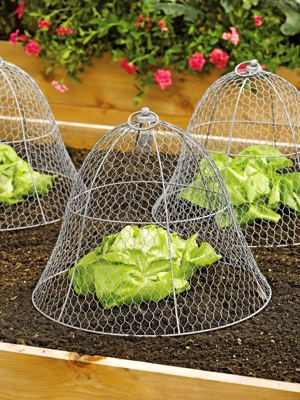 Chicken Wire Cloche, Set of 3