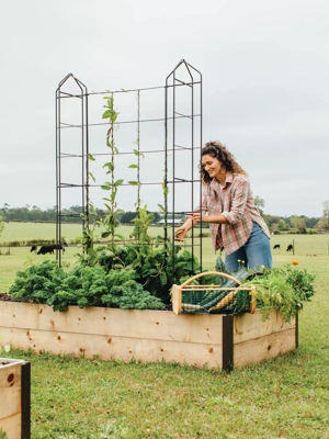  K-Brands Tomato Cage – Premium Tomato Plant Stakes Support  Cages Trellis for Garden and Pots (Upto 68 Inches Tall) : Patio, Lawn &  Garden