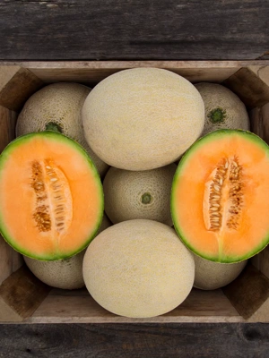 True Love F1 Melon Organic Seeds