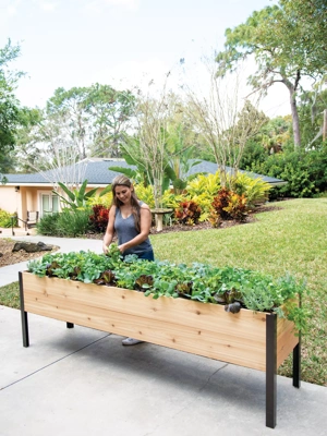 Self-Watering Elevated Planter Box, 2' x 8' (10" D)