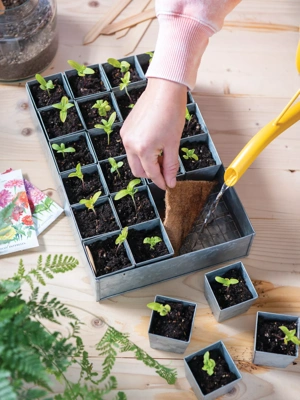 Self-Watering Galvanized Seed Starting Tray
