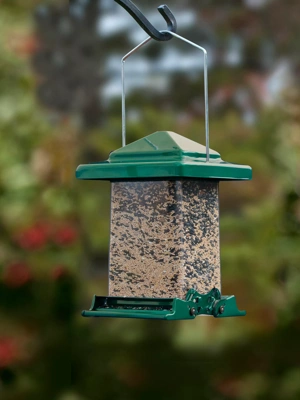 Easy View Squirrel-Proof Birdfeeder