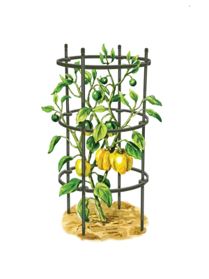 Titan Pepper Eggplant Cages, Set of 3