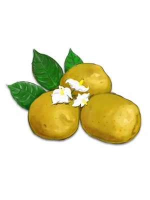Keuka Gold Organic Seed Potatoes, 1 lb