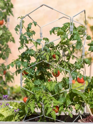 Gardener's Vertex Lifetime Tomato Cage