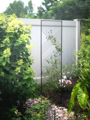 Chicken Wire Wall Trellis