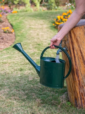 Long Reach Watering Can, Medium