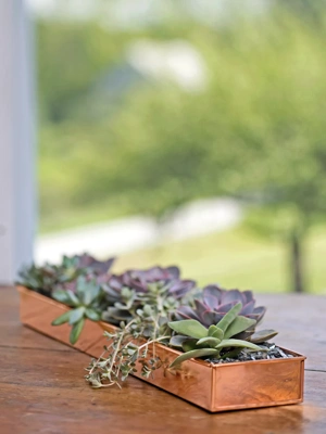 Rectangular Copper Plant Tray, 24" x 5"