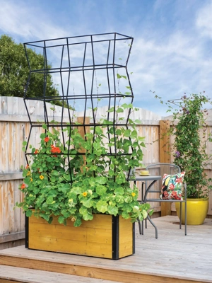 Titan Tomato Self-Watering Grow Bag & Trellis