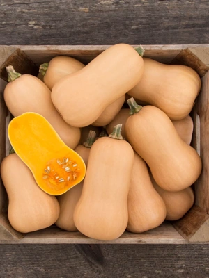 Brulee Butternut Squash Organic Seeds