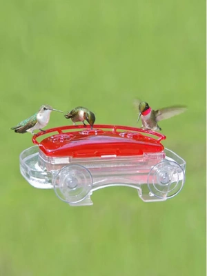 Window Hummingbird Feeder