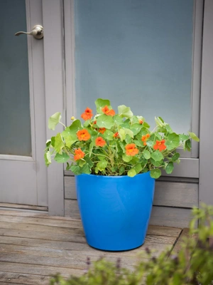 Viva Round Self-Watering Rolling Planter, 17.25” Diameter