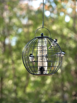 Mixed Seed Globe Cage Feeder