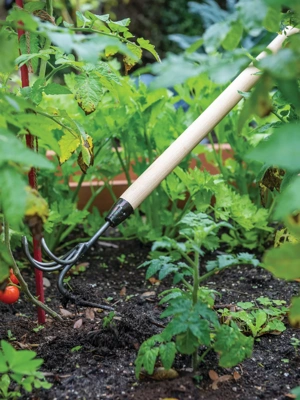 Gardener's Lifetime Long-Handled Double Tool