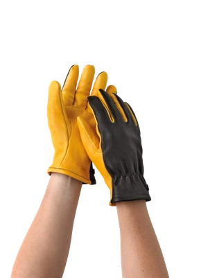 Women's Gold Leaf Dry Touch™ Gloves