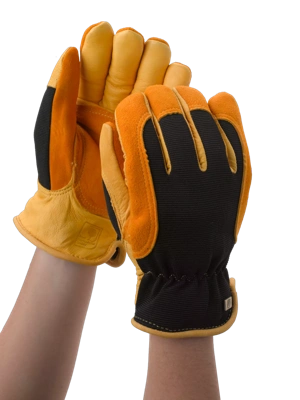 Women's Gold Leaf Winter Touch™ Gloves