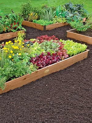 Cedar Raised Beds, 2’ Wide (7.25” D)