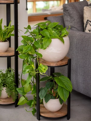 Double Tower Plant Stand