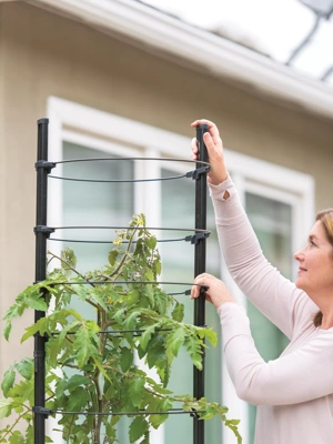 Gardener's Victory Planter Trellis Extension