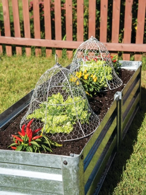 Chicken Wire Cloche