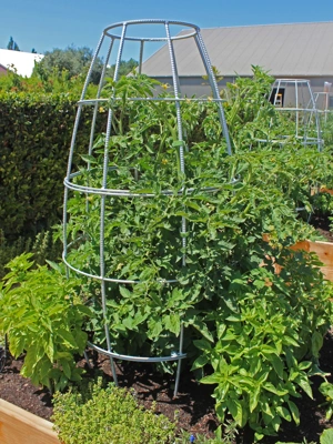 Toki Bubble Trellis