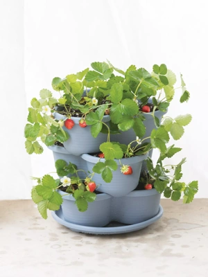 Stacking Strawberry Pot