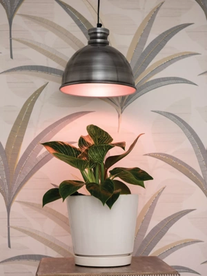 Florabooster® LUM 500-Z LED Plant Light