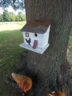 Cumberland Chicken Coop Bird House