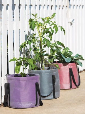 Grow Bags