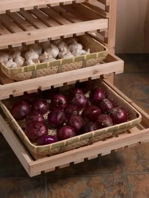 Onion Storage 