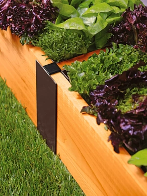 18 Raised Garden Bed Ideas at All Price Points