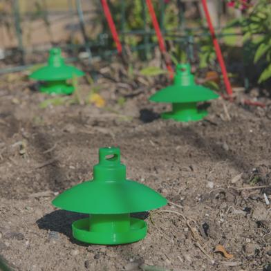 Slug and Snail Trap in garden bed with plant supports in background