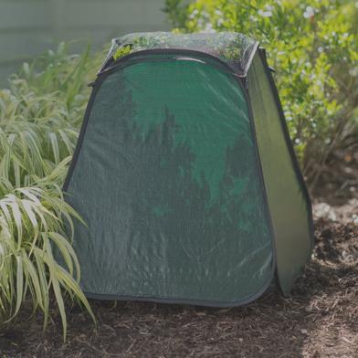 Large Pop Up Plant Protector in sunny mulched garden bed