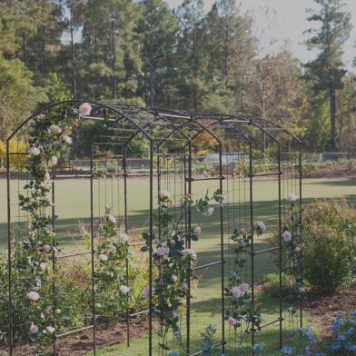 Jardin Rose Tudor Arch Connectors with white flowers in a garden of blue flowers