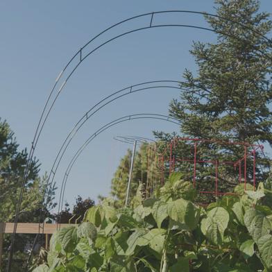 Adjustable Garden Tunnel Super Hoops towering over garden with blue sky above