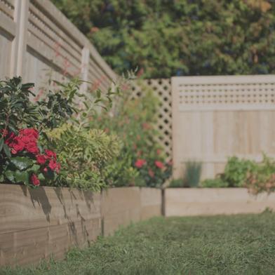 Low shot of Deep Root Raised Garden Beds with dark pink flowers growing in them and wooden fence behind beds
