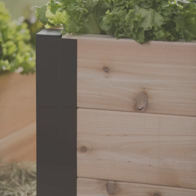 15" Raised Bed Corners on wooden raised bed with lettuce growing in bed