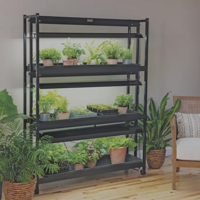 LED SunLite® 3-Tier Garden with houseplants and seeds starting under lights