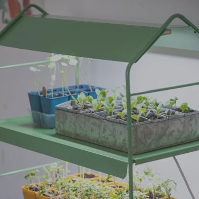 Close-up of the Agie Tabletop LED Light Garden with seed started trays in it