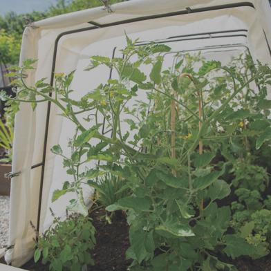 Zenith Garden Hoops and Cool Weather Garden Cover over hoops protecting plants growing in raised bed