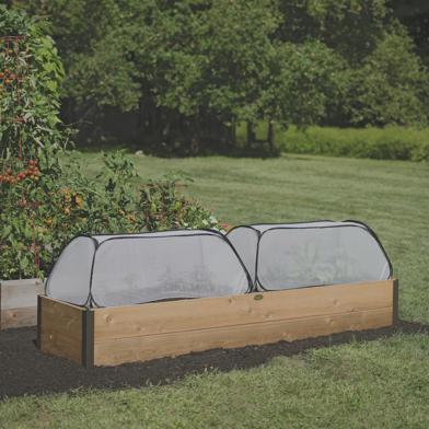 Two Row Shelter Accelerators next to each other in a wooden raised garden bed.