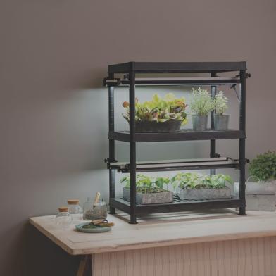 LED Stack-n-Grow Lights System 2-Tier on countertop with herbs growing and seeds starting under lights