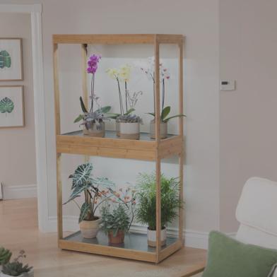 Bamboo LED Display Garden in living area with orchids and houseplants growing under lights