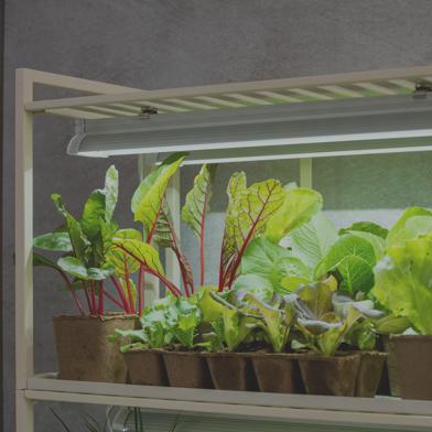 Top tier of Oslo Customizable 4 Tier Light Garden 4 LED Fixtures with greens growing under lights