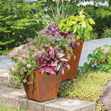 Pots & Planters