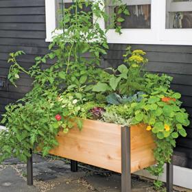 Garden in a Box Greenhouse on white stone