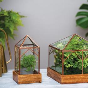 Art Decco Glass Terrariums on tabletop with plants growing inside