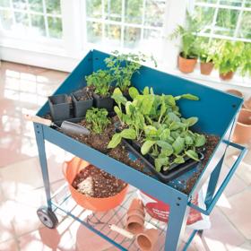 Blue Demeter Potting Bench with green plants growing inside