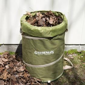 Yard Cleanup Bag filled with leaves