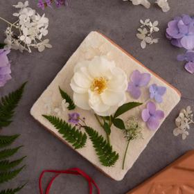 Terra Cotta Flower Press on table with flower petals, ribbon, and ferns around